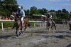 Immagine <b>REG_9273</b>